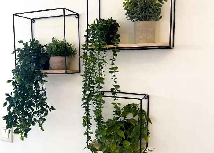 Calme Et Avec Balcon Ensoleille ル·カネ