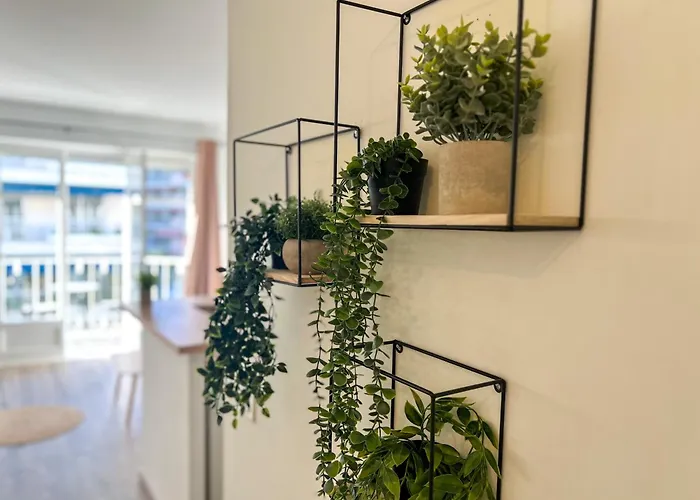 Calme Et Avec Balcon Ensoleille * ル·カネ